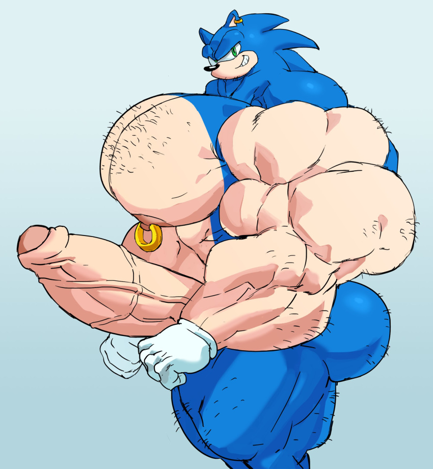 Sonic The Hedgehog (Sonic (Series)) Rule 34 Image