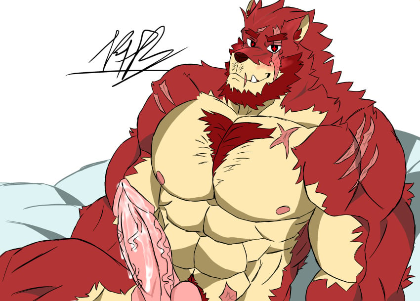 abs anthro bara bara_furry blush furry_male gay gay_furry horny horny_male laying_on_bed leaking_precum male male_only masturbation muscular muscular_male precum red_fur red_iris scar scarred_body scarred_face smirk smirking_at_viewer turned_on wolf wolf_ears