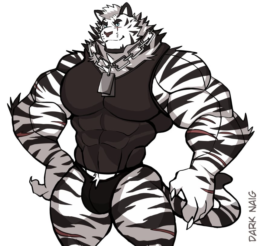 anthro arknights balls bara barazoku bulge darknaigart flaccid furry gay male male_only monochrome mountain_(arknights) muscles muscular penis solo solo_male tiger