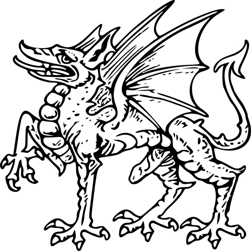 1:1 claws dragon edit erection feral genitals hi_res male membrane_(anatomy) membranous_wings monochrome penis scalie sethenisk solo western_dragon wings y_ddraig_goch