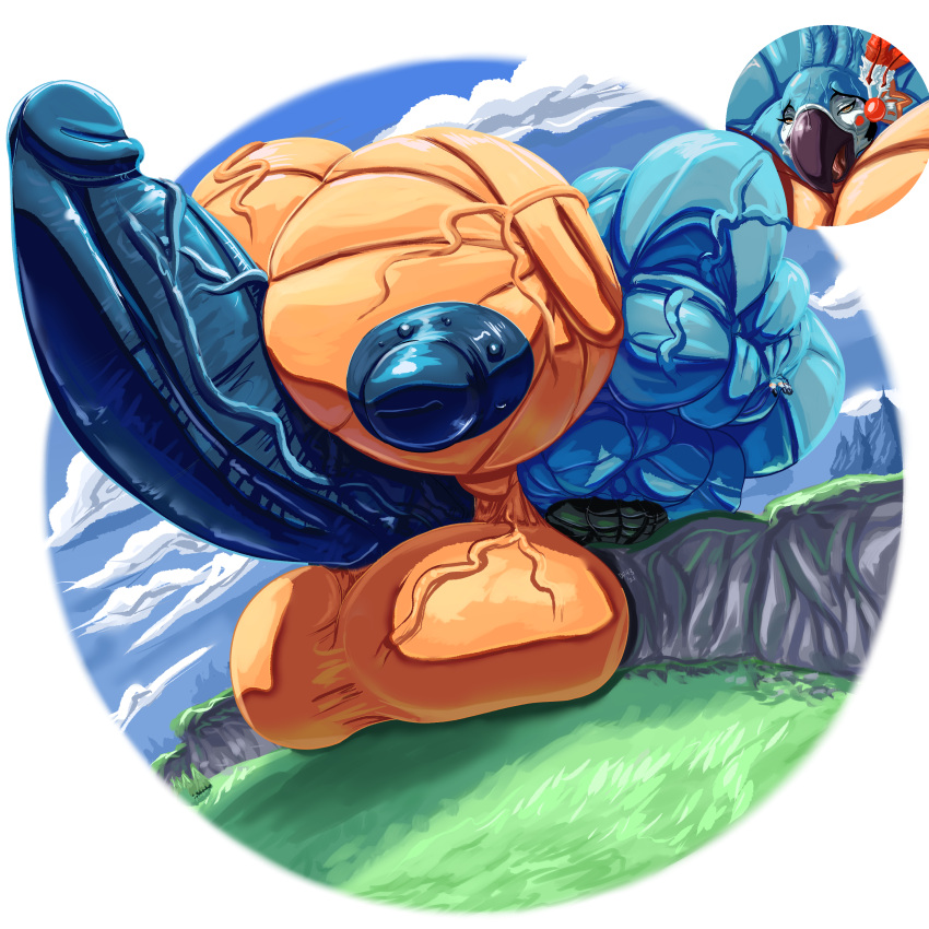 Kass (Zelda) Rule 34 Image