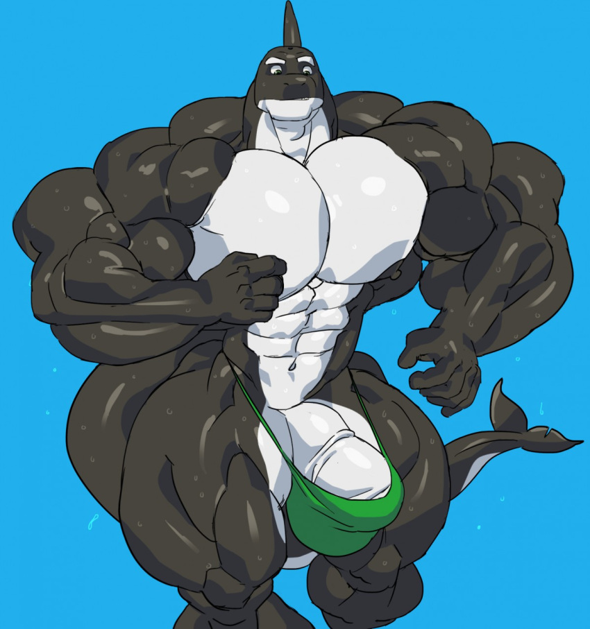 Abs Rule 34 Image
