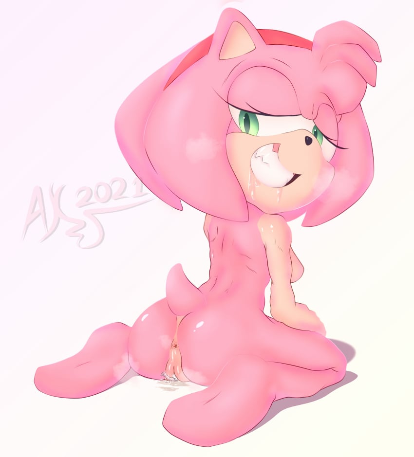 2021 absurd_res akcar amy_rose anthro anus bodily_fluids breasts completely_nude completely_nude_female dominant dominant_female duo eulipotyphlan faceless_character faceless_male female genitals hedgehog hi_res macro male mammal micro nude nude_female paws penetration pussy saliva sega smile sonic_(series) sonic_the_hedgehog_(series) teeth unbirthing vaginal_penetration vore