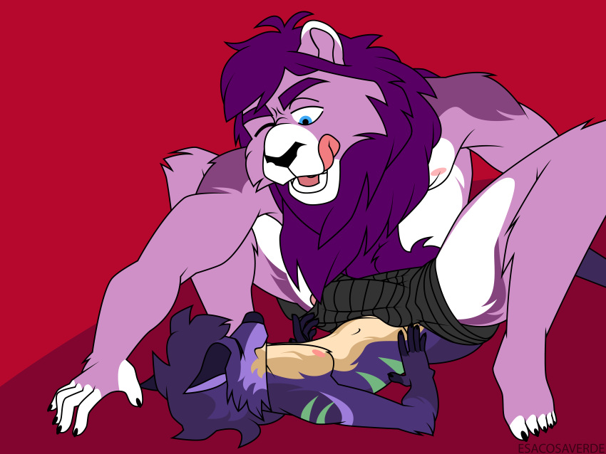 4:3 absurd_res agneel_(character) anthro clothing dantem_(character) duo esacosaverde felid fur hi_res lion male male/male mammal pantherine purple_body purple_fur size_difference tongue underwear wold