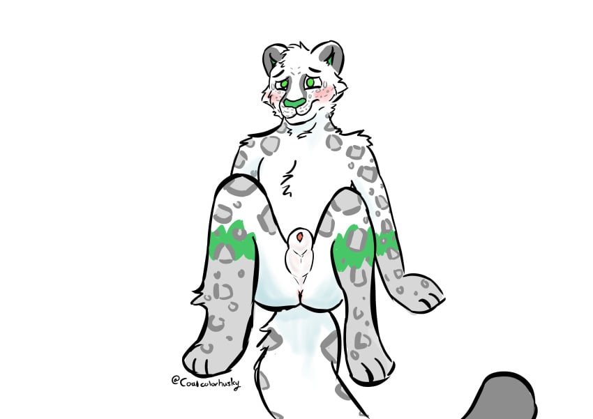 absurd_res animal_genitalia animal_penis anthro anus ass balls blush coalcolorhusky embarrassed felid feline_genitalia feline_penis genitals green_eyes hi_res karno_(coalcolorhusky) male mammal pantherine penis penis_tip sheath simple_background sitting snow_leopard solo tail white_background white_balls white_body