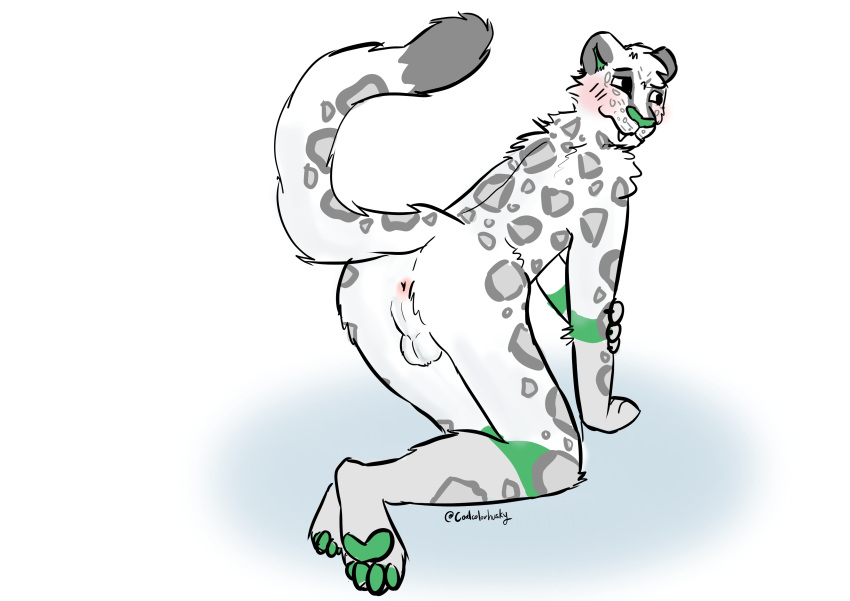 Karno (Coalcolorhusky) Rule 34 Image