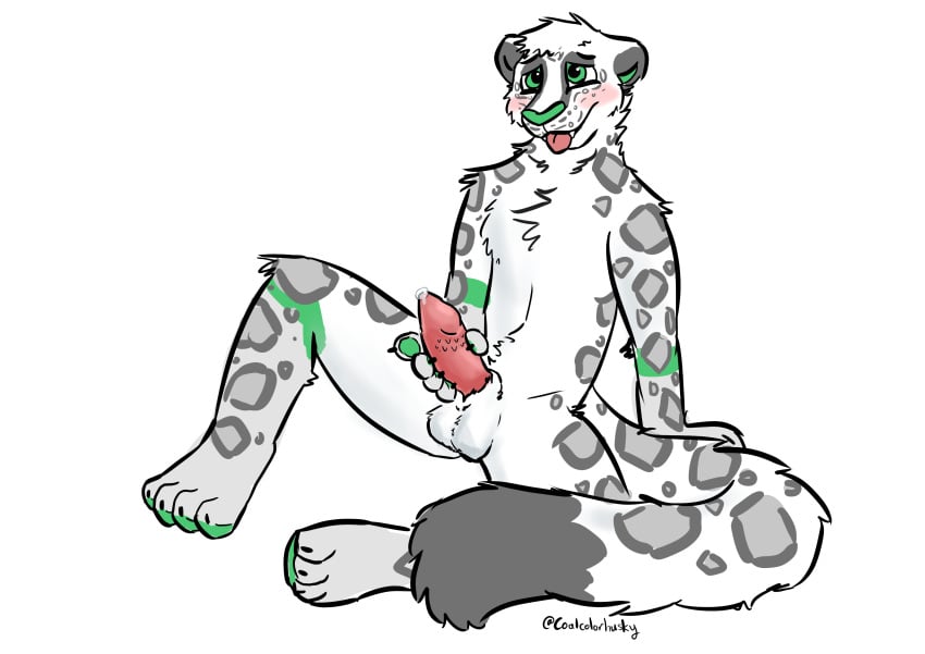 absurd_res animal_genitalia animal_penis anthro balls blush bodily_fluids coalcolorhusky felid feline_genitalia feline_penis genital_fluids genitals green_eyes hi_res karno_(coalcolorhusky) male mammal masturbation pantherine pawpads paws penis precum sheath simple_background sitting snow_leopard solo tail tongue tongue_out white_background white_body