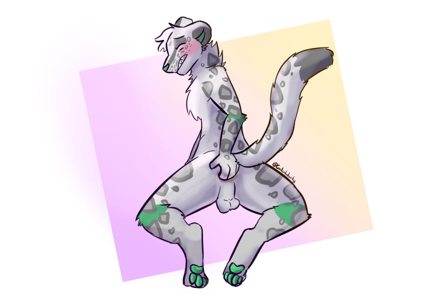absurd_res anal anal_fingering anthro backsack balls blush clenched_teeth closed_eyes coalcolorhusky felid fingering fingering_self genitals hi_res karno_(coalcolorhusky) male mammal masturbation pantherine pawpads paws raised_tail simple_background snow_leopard solo tail teeth white_body
