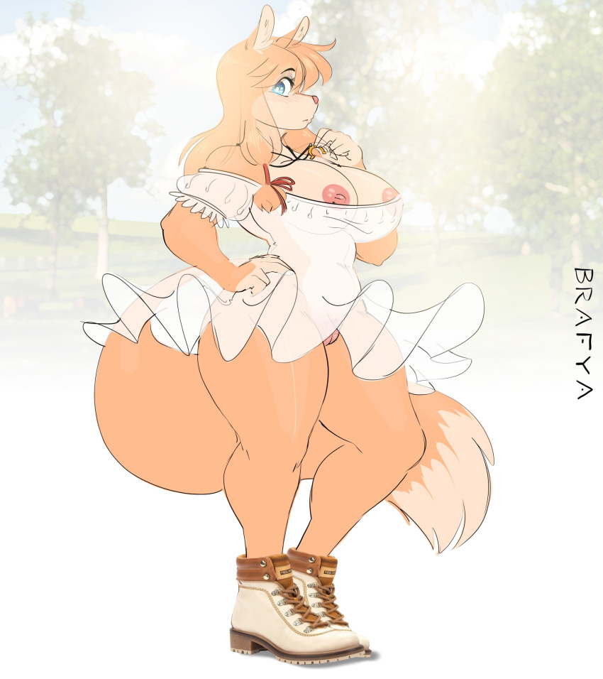 anthro battle_franky blue_eyes blush breasts canid canine clothed clothing female female_only ferra_(battle_franky) fluffy fluffy_tail fox fur genitals hair orange_fur orange_hair partially_clothed pussy shoes simple_background solo tail two_tone_fur