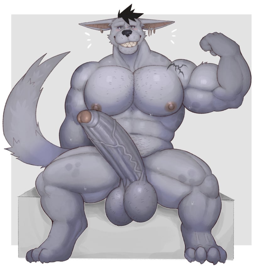 anthro balls bara barazoku big_balls big_penis boner erection fleshformomo flexing furry huge_cock hyena male male_only momo_(fleshformomo) muscles muscular nude penis sitting solo solo_male sweat sweating