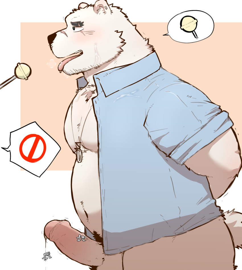 2021 anthro balls belly black_nose blush bodily_fluids candy clothed clothing dessert erection food fur genital_fluids genitals hagom hi_res humanoid_genitalia humanoid_penis kemono male mammal open_clothing open_shirt open_topwear overweight overweight_male penis polar_bear precum shirt simple_background solo tongue tongue_out topwear ursid ursine white_body white_fur