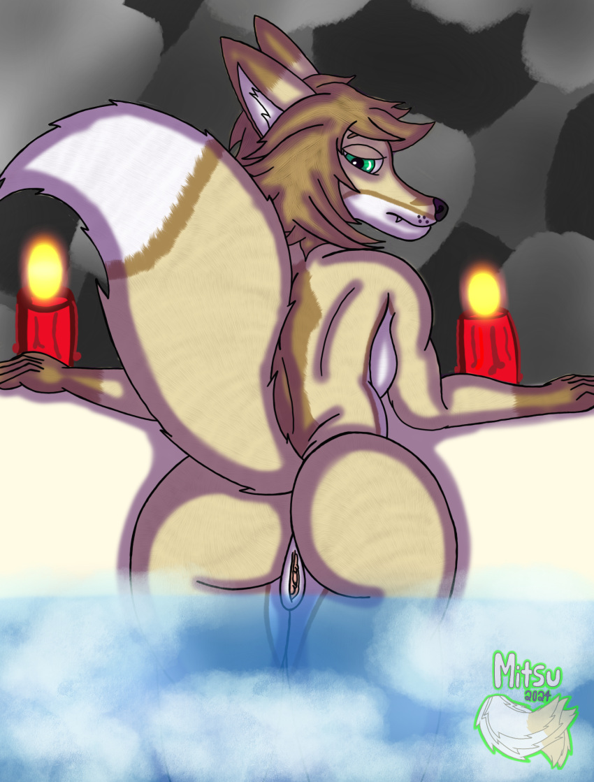 anthro bath candle canid canine female fox_wolf from_behind_(disambiguation) genitals hi_res hybrid hyperion mammal mitsuthesune nude pussy remake solo spa