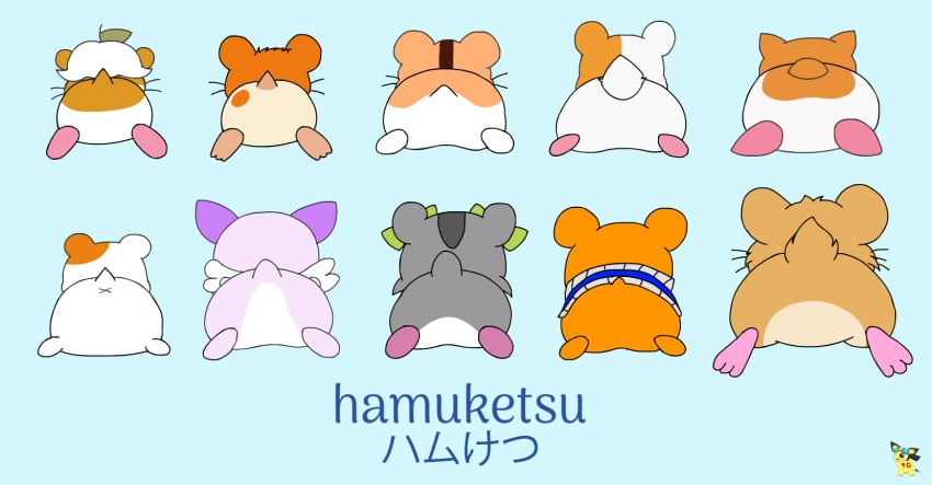 2024 accessory amelie_(jewelpet) anus artist_logo ass blizzard_entertainment bow_ribbon brown_body brown_fur clothed clothing corocorokuririn cricetid crossover ebichu english_text female feral fur grey_body grey_fur group hair_accessory hair_ribbon hairbow hammond_(overwatch) hamster hamster_club hamsterdam hamtaro hamtaro_(series) hi_res jacket japanese_text jewelpet jewelpet_(series) jewelpet_(species) kirarin_hamster kirby_(series) kuririn_(sanrio) logo lying male male_focus mammal nintendo on_front orange_body orange_fur oruchuban_ebichu overwatch overwatch_2 pichu90 pimm_(hamsterdam) pink_body pink_fur pretty_cure pukupuku_tennen_kairanban ribbons rick_(kirby) rodent sanrio sega sega_fave sega_toys shigetchi_(hamster_club) simple_background text topwear whiskers white_body white_fur wonderful_precure! x_anus yamada_(pukupuku_tennen_kairanban)