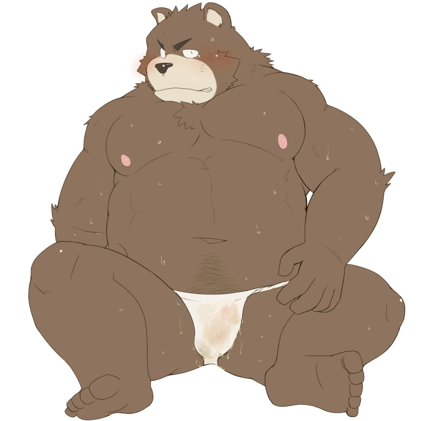 1:1 1boy 2016 anthro asian_clothing belly blush bodily_fluids brown_body brown_fur bulge clothing east_asian_clothing fundoshi fur genital_outline hi_res japanese_clothing kemono male male_only mammal moobs navel nipples overweight overweight_male penis_outline shiike999 simple_background sitting solo sweat underwear ursid white_background white_clothing white_fundoshi white_underwear