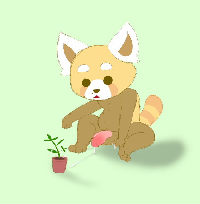 1boy absurd_res aggressive_retsuko ailurid anthro balls bodily_fluids cum cum_on_flower cum_on_plant cum_on_self flaccid foreskin fuzefurry genital_fluids genitals glans hi_res male male_only mammal partially_retracted_foreskin penis plant red_panda resasuke sanrio sitting smooth_fur solo tagme uncut