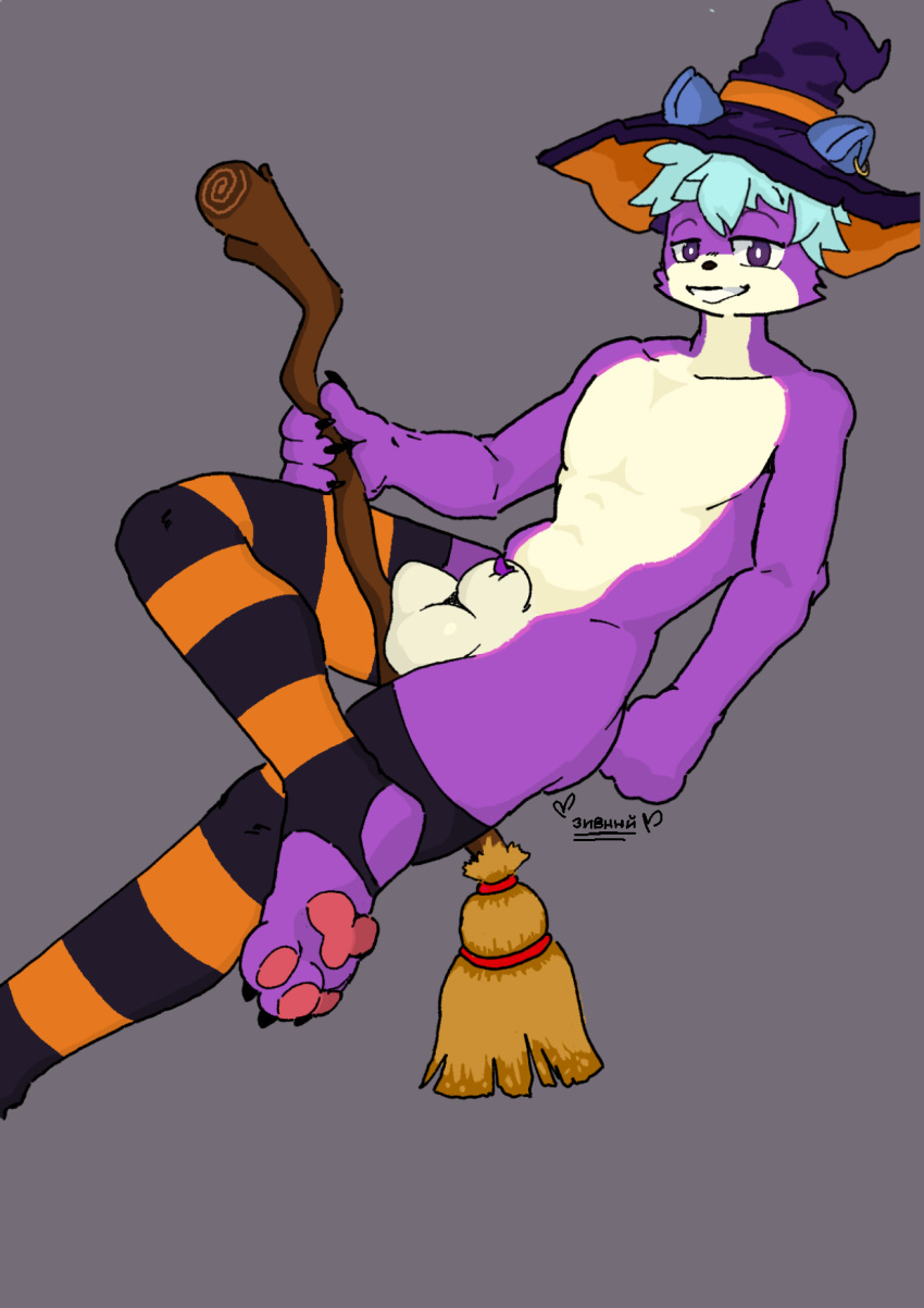 anthro blue_ears blue_hair broom cleaning_tool clothing domestic_cat felid feline felis fur genitals hair halloween hat headgear headwear hi_res holidays male mammal paws penis penis_tip purple_body purple_fur purple_penis solo spukito_(character) thick_thighs witch_hat zivnny_(artist)
