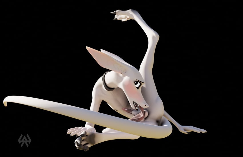 3d animal_genitalia anthro balls black_lips collar digital_media_(artwork) feet genitals hairless hi_res licking lips long_feet long_tail long_tongue male nude oral pale_skin paws penile penis penis_lick pointy_ears pointy_nose saz sazemek sex sharp_teeth sheath silek slim smooth_skin solo tail teeth tongue tongue_bath white_body