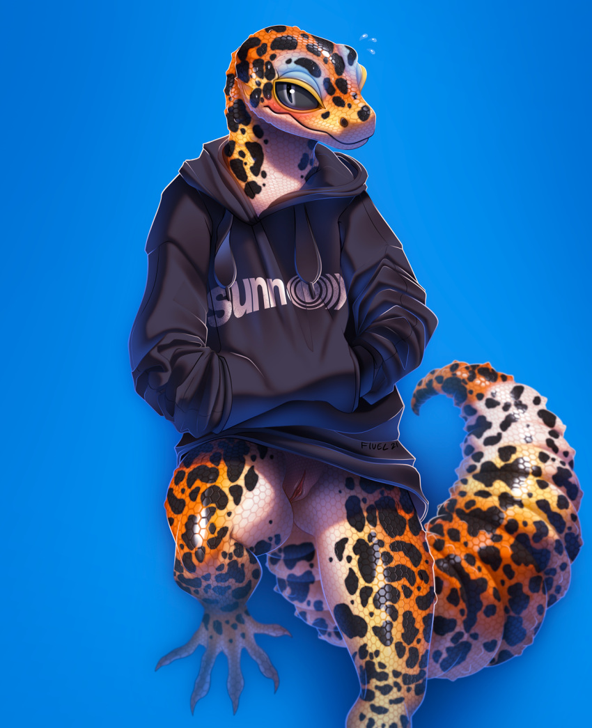 2021 andromorph anthro baggy_clothing band_logo black_clothing black_hoodie black_topwear blush bottomless clothed clothing cuntboy digital_media_(artwork) embarrassed eublepharid fivel gecko genitals hands_in_pockets hi_res hoodie intersex leopard_gecko lizard looking_at_viewer pockets pussy reptile scales scalie signature solo topwear