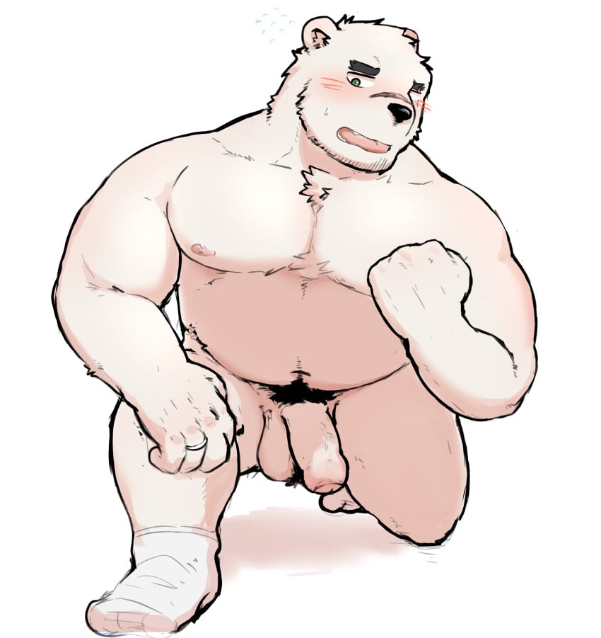 2021 anthro belly black_nose blush flaccid fur genitals hagom hi_res humanoid_genitalia humanoid_hands humanoid_penis kemono male mammal moobs nipples overweight overweight_male penis plantigrade polar_bear pubes simple_background solo ursid ursine white_background white_body white_fur