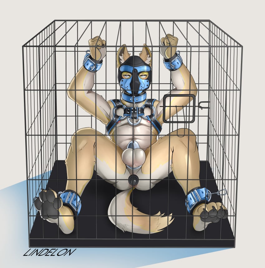 100racs absurd_res anal anal_sex animal_mask ankles_tied anthro artist_name black_pawpads bondage bound buttplug buttplug_in_ass buttplug_insertion caged canid canine chastity_cage chastity_device front_view fur grey_eyes hands_tied harness hi_res jaegerpup looking_at_viewer male mammal mask narrowed_eyes nipples object_in_ass pawpads penetration plug_(sex_toy) plug_insertion pup_mask sex_toy sex_toy_in_ass sex_toy_insertion simple_background solo spread_legs spreading tan_body tan_fur text wearing_chastity_cage wearing_chastity_device white_background white_body white_fur