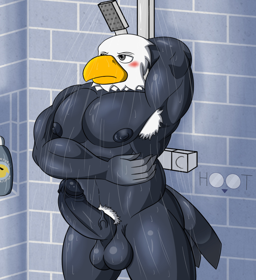 1boy abs accipitrid accipitriform animal_crossing anthro apollo_(animal_crossing) armpit_hair artist_logo artist_name avian balls ballsack big_balls big_pecs big_penis bird blush body_hair dg254 eagle erection foreskin foreskin_folds genitals hi_res hoot_(owl_logo) humanoid_penis inner_foreskin intact male male_nipples male_only male_pubic_hair muscles muscular_anthro muscular_male nintendo nude_male pecs penis pubes retracted_foreskin scrotum sea_eagle shower solo testicles uncut veiny_penis video_games water