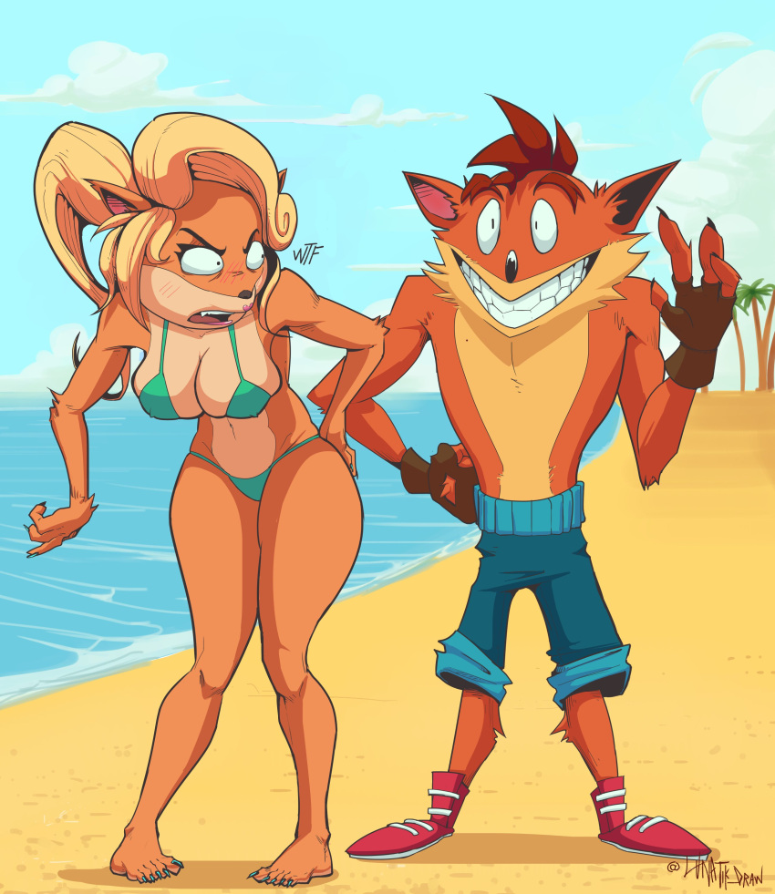 1boy 1girls beach bikini breasts coco_bandicoot crash_(series) crash_bandicoot female fur furry lunatik_draw lunatikart male spanking string_bikini text wide_hips