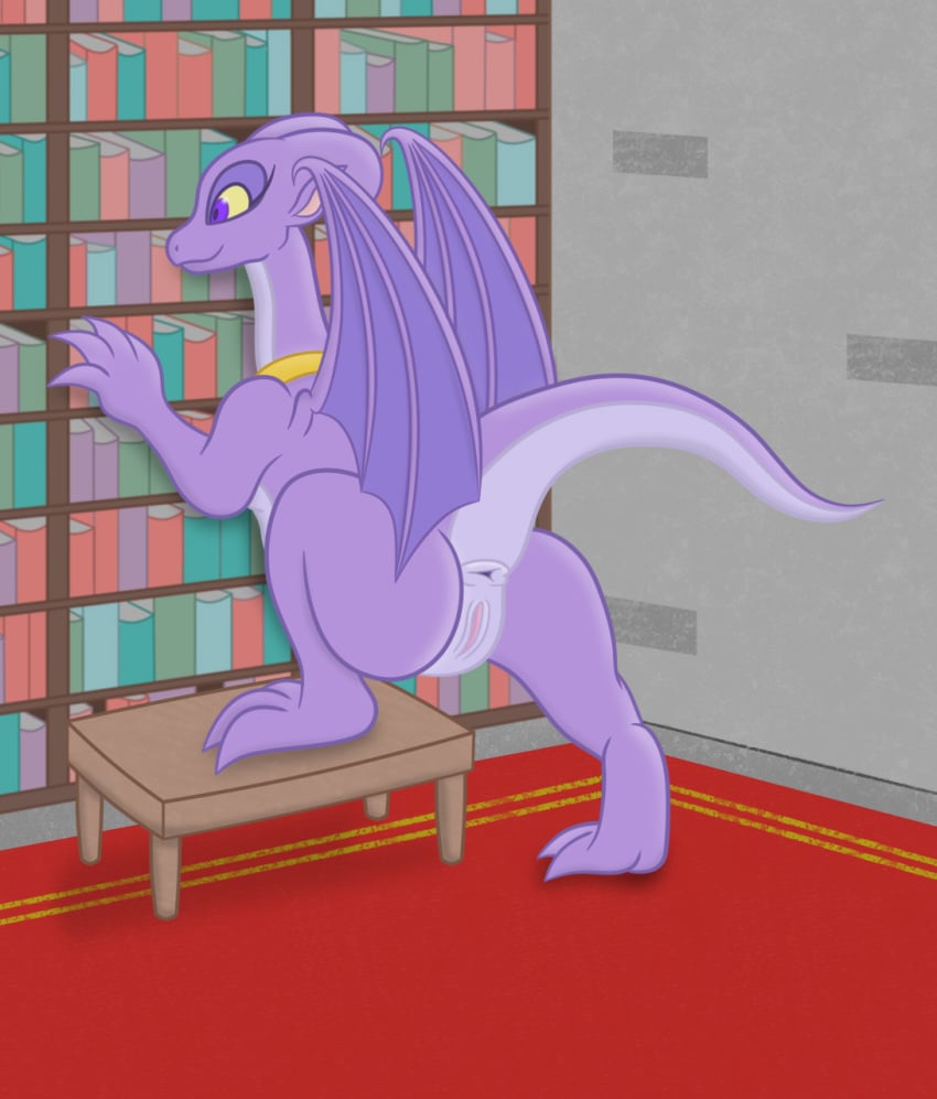 anus ass book bookshelf detailed_background dragon female feral furniture genitals hi_res inside membrane_(anatomy) membranous_wings purple_body pussy raised_tail reptile reversal_of_the_heart scalie sharkinwaves solo table western_dragon wings