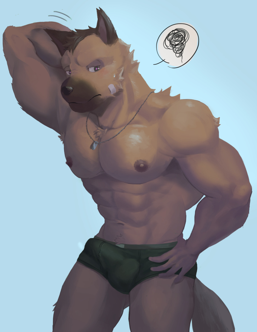 abs absurd_res anthro areola balls_outline bandage biped blue_background blush bodily_fluids brown_body brown_fur bulge canid canine canis clothed clothing detailed_bulge dog_tags domestic_dog erection erection_under_clothing fur genital_outline german_shepherd green_clothing green_underwear hand_behind_head hand_on_hip herding_dog hi_res jewelry male male_only mammal muscular muscular_anthro muscular_male necklace nipples omyurice pastoral_dog pecs penis_outline pictographics simple_background solo sweat sweatdrop topless underwear