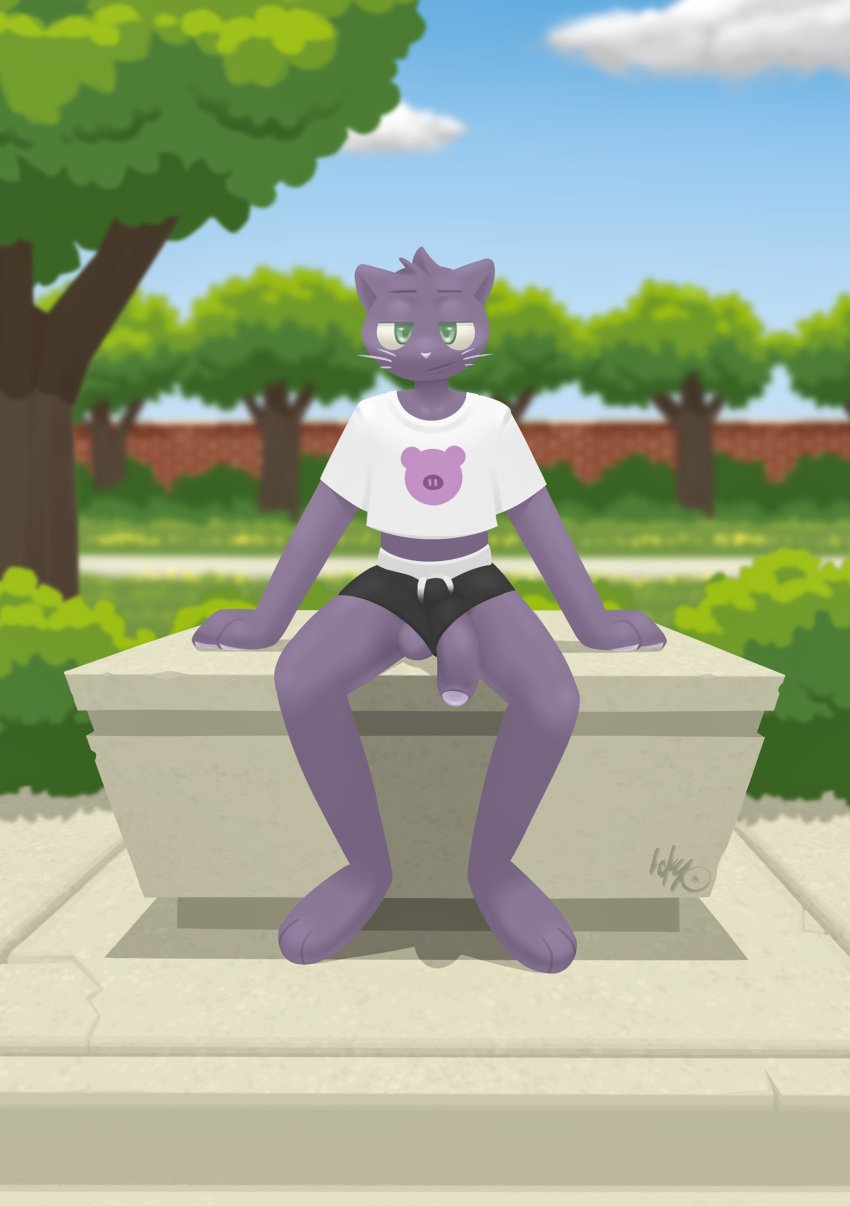 anthro balls bottomwear clothed clothing crop_top domestic_cat felid feline felis flaccid foreskin fur genitals green_eyes hi_res ickyfig male mammal outside park park_bench partial_nudity partially_clothed paws penis plant presenting presenting_penis public public_nudity purple_body purple_fur shirt shorts shrub sidewalk solo spread_legs spreading toony topwear tree unamused uncut