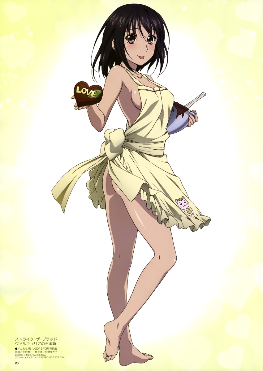 Himeragi Yukina (Strike The Blood) Rule 34 Image