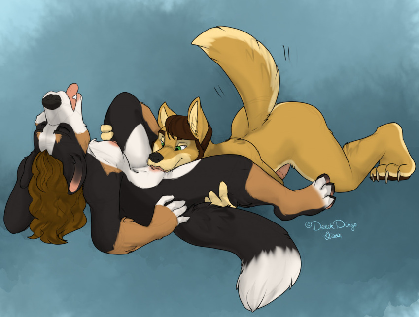 2021 4_toes 5_fingers anthro ass ass_up bernese_mountain_dog bernie_sennenhund black_body black_fur black_nose breasts brown_hair canid canine canis claws closed_eyes cunnilingus dereck_dingo digital_media_(artwork) dingo domestic_dog duo erection fangs feet female fingers fur genitals hair hand_on_leg hand_on_thigh head_back hindpaw humanoid_hands licking looking_pleasured lying male male/female mammal molosser mountain_dog multicolored_body multicolored_fur nipples nude oli_snowpaw on_back oral paws penis raised_tail sex signature swiss_mountain_dog tailwag tan_body tan_fur toe_claws toes tongue tongue_out two_tone_body two_tone_fur vaginal_penetration white_body white_fur