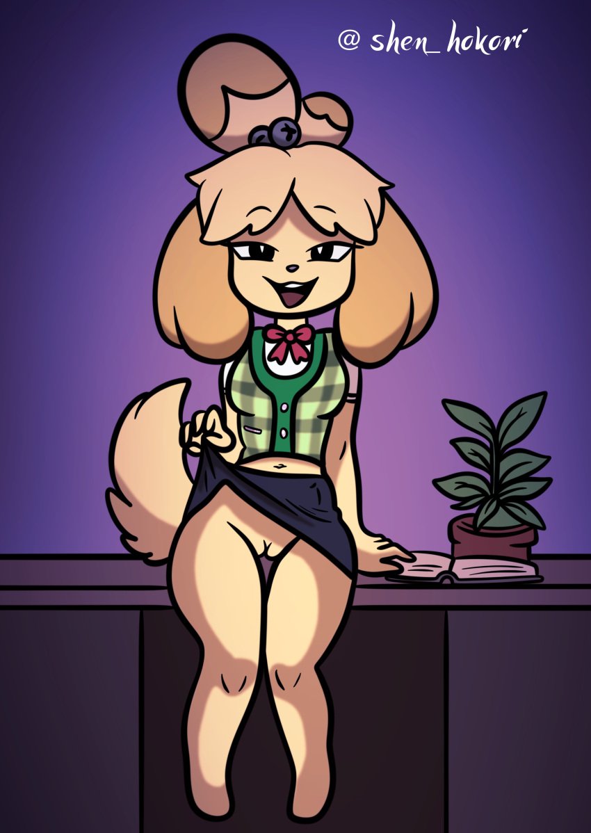 absurd_res animal_crossing anthro bedroom_eyes bottomwear canid canine canis clothed clothing clothing_lift domestic_dog female genitals hi_res inside isabelle_(animal_crossing) looking_at_viewer mammal midriff narrowed_eyes nintendo no_underwear presenting presenting_pussy pussy seductive shen_hokori sitting_on_desk skirt skirt_lift solo