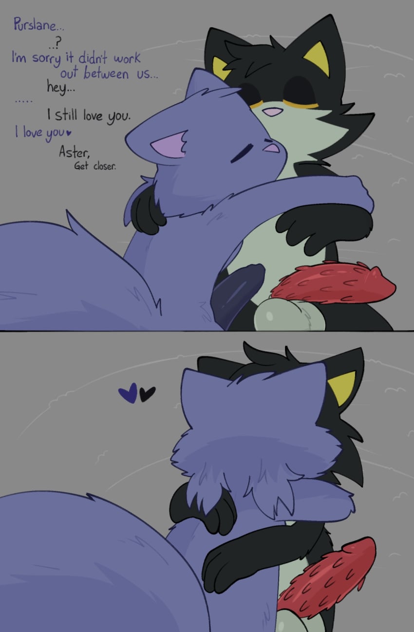 Aster (Crushpepper) Rule 34 Image