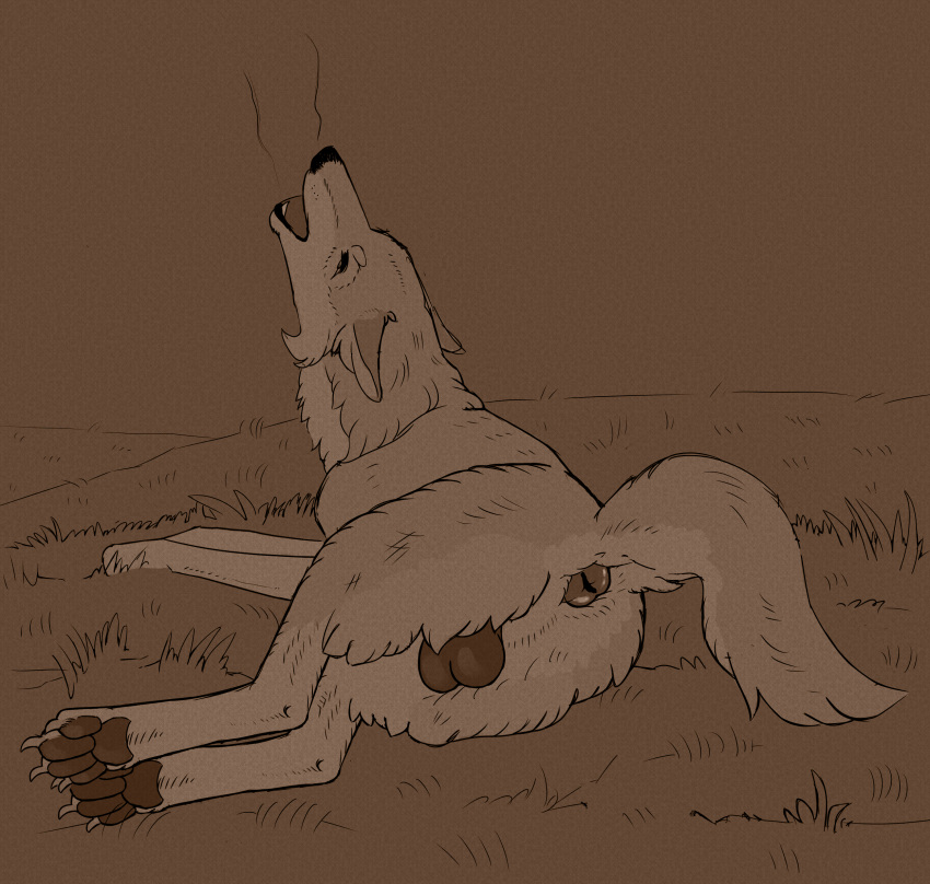 anatomically_correct anatomically_correct_anus anus ass balls big_balls canid canine canis casual_exposure closed_eyes dark_balls darkened_balls darkened_genitalia ears_back feral gay genitals grass harpsichord_(artist) hi_res howl line_art lying male mammal monochrome on_side outside pawpads paws pivoted_ears plant saggy_balls solo tail_aside wolf