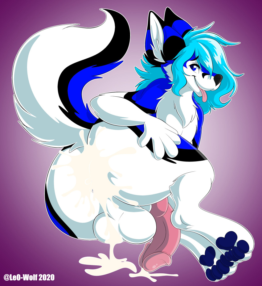 ass balls black_nose blue_eyes blue_hair bodily_fluids canid canine canis cum cum_on_balls cum_on_butt cum_on_own_balls cum_on_self cum_overflow domestic_dog excessive_cum fur genital_fluids genitals hair hi_res husky knot leo-wolf leo-wolf_(character) looking_at_viewer male mammal multicolored_body multicolored_fur nordic_sled_dog pawpads penis pink_penis pink_tongue presenting solo spitz tongue tongue_out wolf