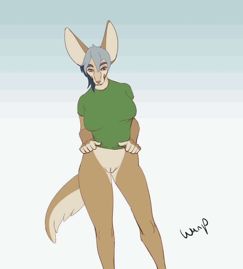 2d animated anthro blue_eyes blue_hair breasts canid canine cleft_of_venus clothed clothing clothing_lift female fennec fox genitals gif hair hi_res loop mammal pussy shirt shirt_lift short_playtime solo tailwag topwear wunp