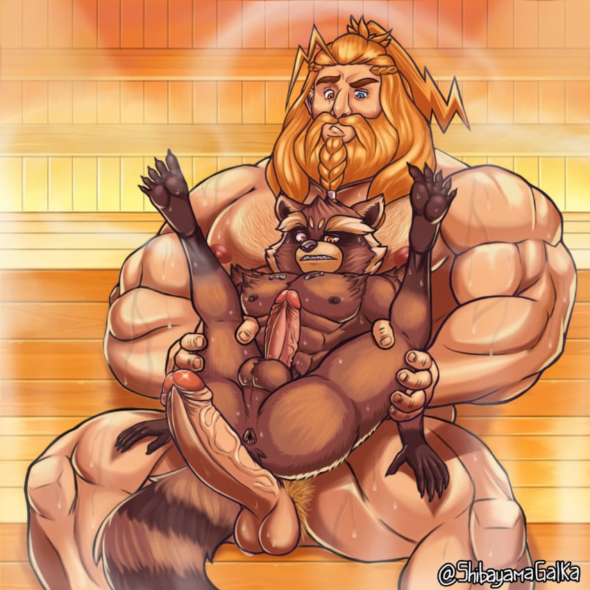 1:1 2boys abs anthro anus balls beard biceps big_dom_small_sub big_penis blonde_beard blonde_hair bodily_fluids braided_beard braided_hair brown_body brown_fur deity dominant duo eye_scar eyebrows facial_hair facial_scar feet feral fluffy fluffy_tail fur genitals guardians_of_the_galaxy hair heterochromia hi_res human human_on_feral humanoid_feet humanoid_genitalia humanoid_penis imminent_sex interspecies interspecies_yaoi legs_up light-skinned_male light_body light_skin male male/male male_only mammal marvel marvel_cinematic_universe muscular muscular_anthro muscular_male nipples pecs penis plantigrade procyonid raccoon rocket_raccoon sauna scar shibayama sitting size_difference skeptical spiky_hair spread_legs spreading steam striped_tail stripes sweat thick_eyebrows thor_(marvel) thor_(series) white_body white_fur