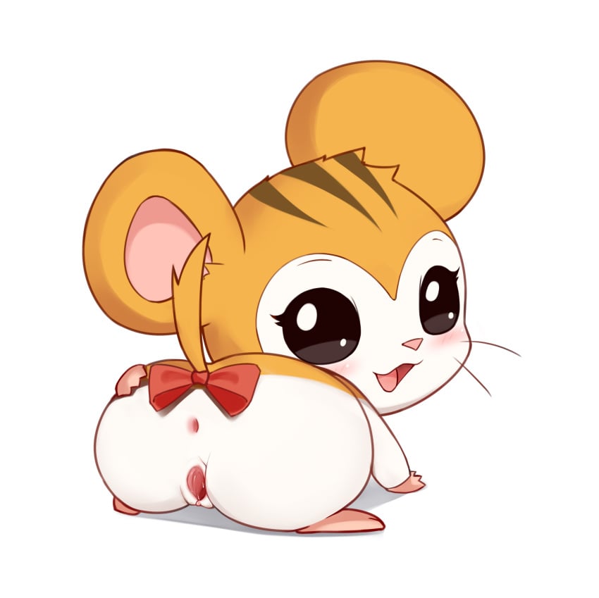 anus ass blush cricetid female feral flong fur furry furry_only genitals hamster hamtaro_(series) hi_res looking_at_viewer looking_back mammal open_mouth presenting presenting_anus presenting_hindquarters presenting_pussy pussy rodent sandy_(hamtaro) simple_background solo tail