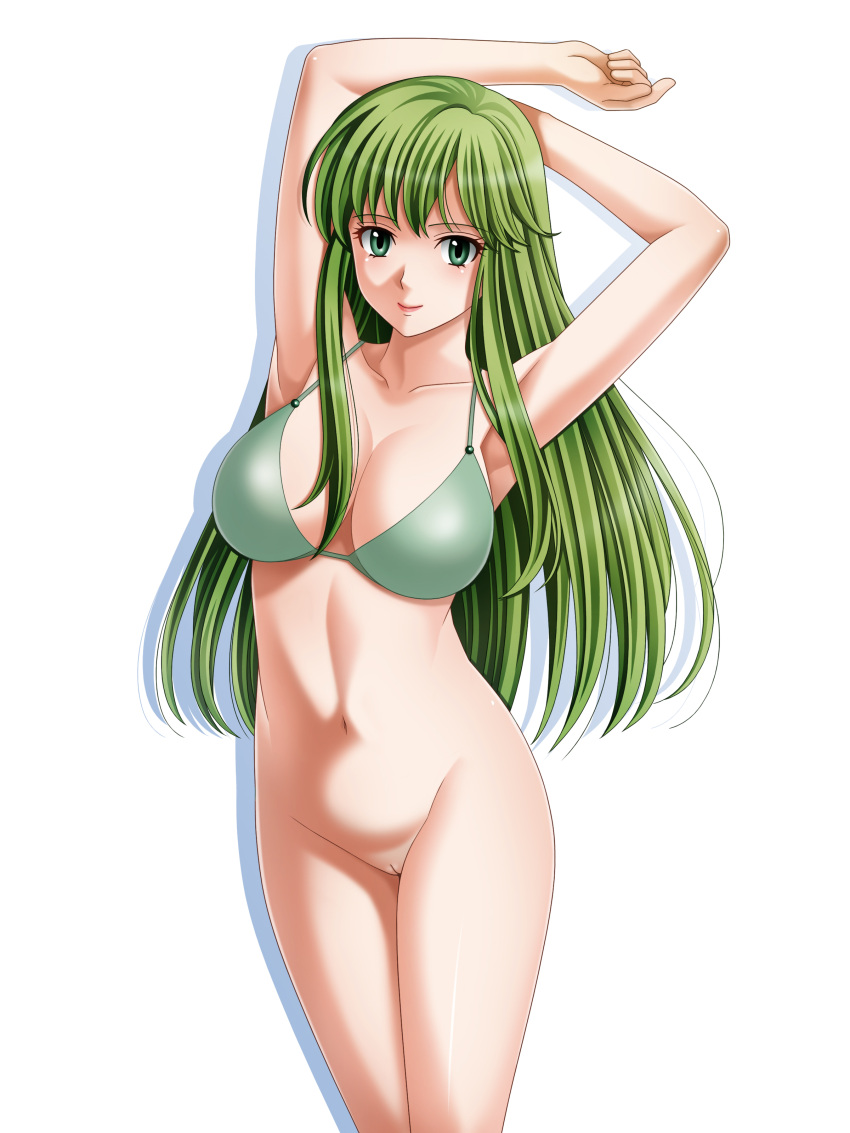 armpits arms_up bangs big_sister bikini bottomless breasts cleavage closed_mouth female fire_emblem fire_emblem:_mystery_of_the_emblem fire_emblem:_shadow_dragon_and_the_blade_of_light green_bikini green_eyes green_hair high_resolution large_breasts long_hair looking_at_viewer navel nintendo no_panties onee-chan palla_(fire_emblem) shiny shiny_hair sideboob simple_background smile solo standing swimsuit tamamon very_high_resolution very_long_hair white_background