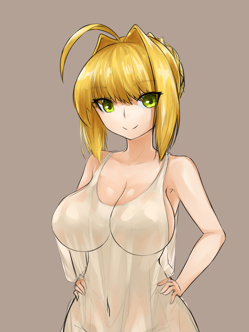 absurd_res alternate_breast_size busty cleavage curvy dress fate/extra fate/grand_order fate_(series) female highres nero_claudius_(fate) steamingtofu transparent_clothing