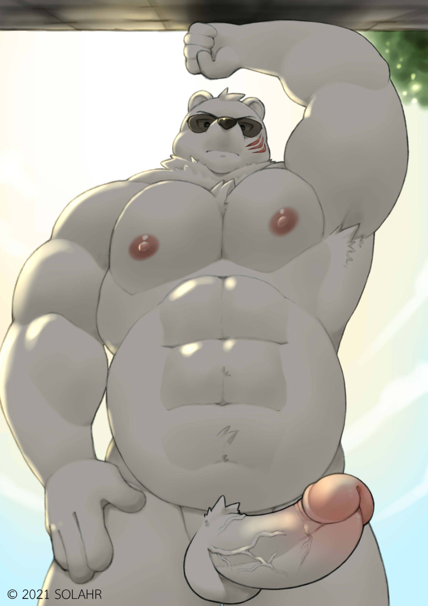 1boy abs absurd_res erection eyewear eyewear_only furry(gay) genitals hi_res humanoid_genitalia humanoid_penis male male_focus male_only mammal musclegut muscular nipples nude obese odd_taxi overweight penis polar_bear sekiguchi_(odd_taxi) solahr solo sunglasses sunglasses_only ursid ursine