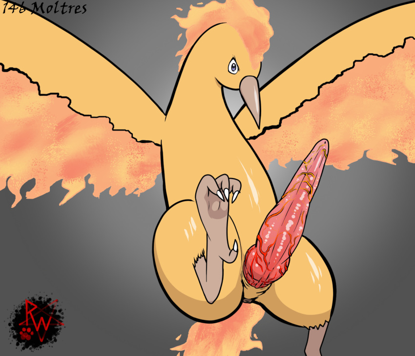 animal_genitalia animal_penis anus avian beak big_penis bird digital_media_(artwork) erection feathers feet feral generation_1_pokemon genitals hi_res huge_cock legendary_birds legendary_pokémon legendary_trio long_penis looking_at_viewer male male_only moltres mythological_avian mythological_firebird mythology nintendo penis pokemon rapistwerewolf red_penis simple_background solo vein veiny_penis video_games wings