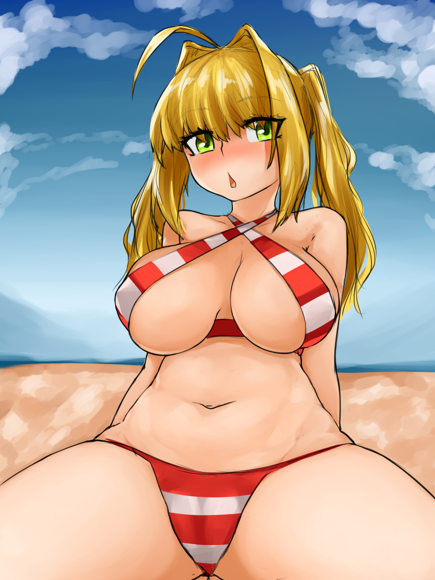 1girls absurd_res alternate_breast_size alternate_version_available big_breasts bikini busty curvy fate/extra fate/grand_order fate_(series) female highres nero_claudius_(fate) nero_claudius_(swimsuit_caster) steamingtofu swimsuit