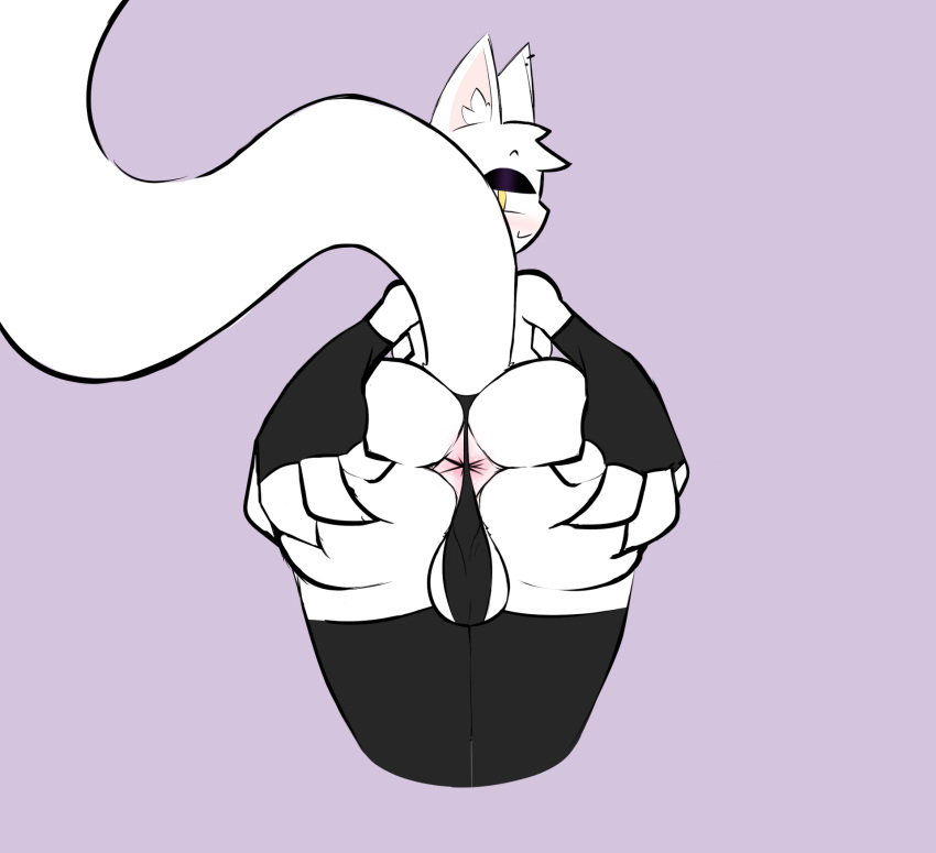 anthro anus armwear ass balls clothed clothing ear_piercing felid fur genitals hi_res inner_ear_fluff legwear male male_only mammal piercing raised_tail rear_view simple_background solo spread_anus spreading tfwnocatgirlgf thigh_highs thong tuft underwear white_body white_fur yellow_eyes