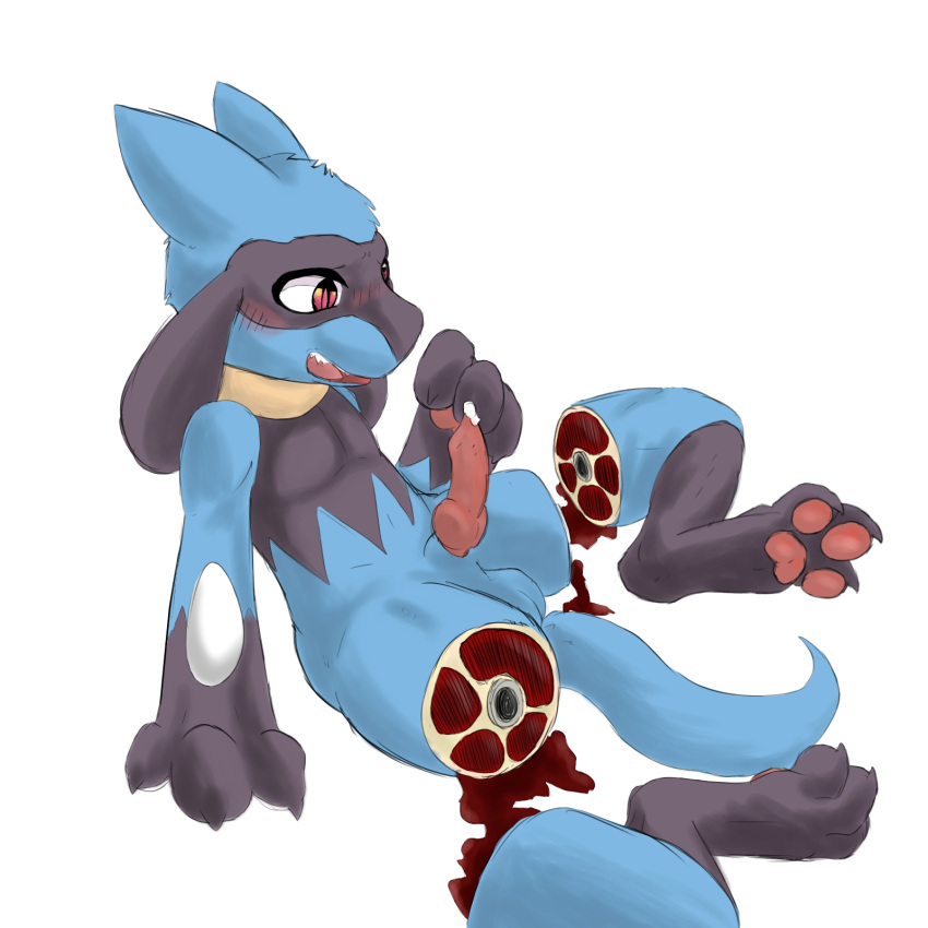 1boy balls canine_penis dismemberment envtoxic gore male male_only penis pokemon precum riolu severed_leg