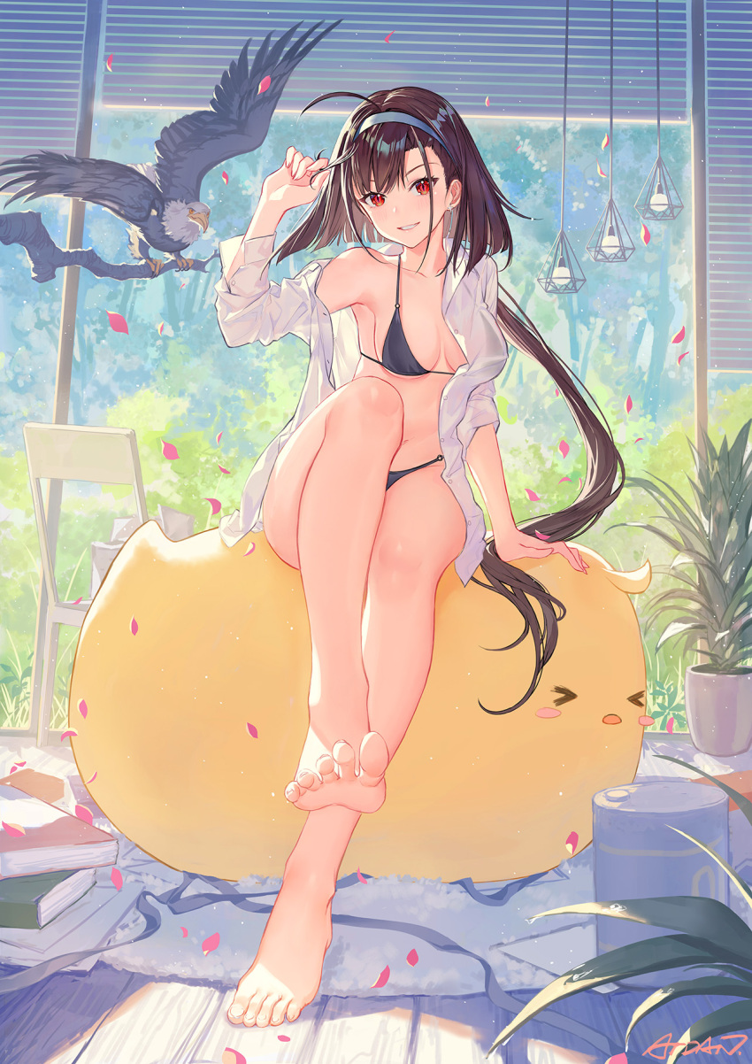 >_< 1girls ahoge animal arm_support asymmetrical_hairstyle atdan azur_lane bad_perspective bangs barefoot bikini bird black_bikini black_hair black_swimsuit blue_hairband blush book breasts brown_hair chair chick clavicle cleavage closed_eyes clothing day dress_shirt eagle eagle_union_(azur_lane) earrings eyebrows_visible_through_hair feet female full_body grin hair_in_hand hair_ornament hairband high_resolution independence_(azur_lane) indoors jewelry large_breasts legs light-skinned_female light_skin long_hair long_sleeves looking_at_viewer low_ponytail manjuu_(azur_lane) medium_breasts navel o-ring o-ring_bikini o-ring_top one_arm_up open_clothes open_mouth open_shirt parted_lips petals ponytail red_eyes ribbon shirt signature sitting sitting_on_animal slit_pupils smile soles solo swimsuit tied_hair toenails toes tree_branch very_long_hair white_shirt window wooden_floor