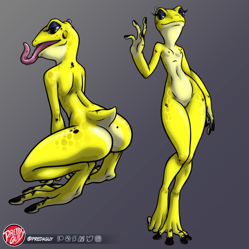 1:1 2021 4_fingers 4_toes amphibian anthro ass beauty_mark breasts countershade_butt countershade_neck countershade_torso countershading crouching curvy_figure digital_drawing_(artwork) digital_media_(artwork) digitigrade earhole eyebrow_piercing eyelashes eyeshadow facial_piercing feet female fingers frog frog_girl front_view full-length_portrait furgonomics furry-specific_piercing genitals gradient_background hi_res jewelry lilith_(malthaeos) long_tongue looking_aside makeup model_sheet multiple_poses navel nipples non-mammal_breasts non-mammal_navel nude piercing poison_dart_frog portrait pose predaguy pussy short_tail simple_background slim small_breasts small_waist smile solo standing thick_thighs three-quarter_view toes tongue tongue_out tongue_piercing wide_hips yellow_body yellow_countershading yellow_skin