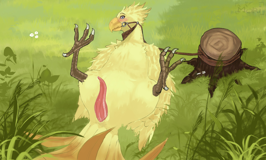 animal_genitalia avian avian_penis bird blue_eyes blush bodily_fluids bound chocobo claws cloaca detailed_background feathered_wings feathers feet feral final_fantasy genital_fluids genitals herrmoki hi_res looking_pleasured lying male on_back penis precum reins solo square_enix tail_feathers tapering_penis tree_stump video_games wings