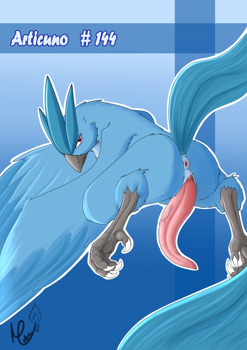 absurd_res animal_genitalia animal_penis anus articuno ass avian beak big_butt big_penis bird blue_body bodily_fluids claws erection feathered_wings feathers feet feral genitals hi_res legendary_pokemon long_penis looking_at_viewer looking_back male male_only meleon nintendo penis pokémon_(species) pokemon pokemon_(species) presenting puffy_anus rear_view solo tapering_penis toe_claws video_games wings