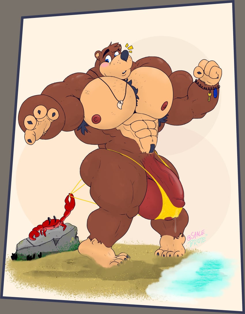 abs banjo-kazooie banjo_(banjo-kazooie) beach biceps blush bodybuilder crab furry furry_only hyper hyper_balls hyper_bulge hyper_genitalia hyper_muscles hyper_penis hyper_testicles male male_focus male_only muscle muscles muscular muscular_arms muscular_ass muscular_back muscular_legs muscular_male muscular_thighs nipples pecs small_clothes spacebrute swimsuit tight_clothing veins veiny_penis